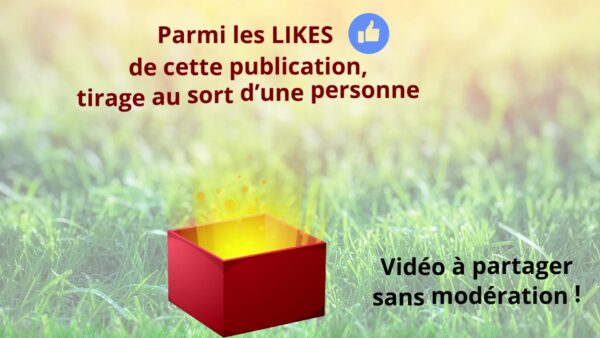 Video by Bersi Sonorisation